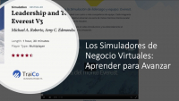 Los Simuladores de Negocio Virtuales - &iquest;qu&eacute; son?