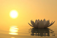 Mindfulness y Meditaci&oacute;n